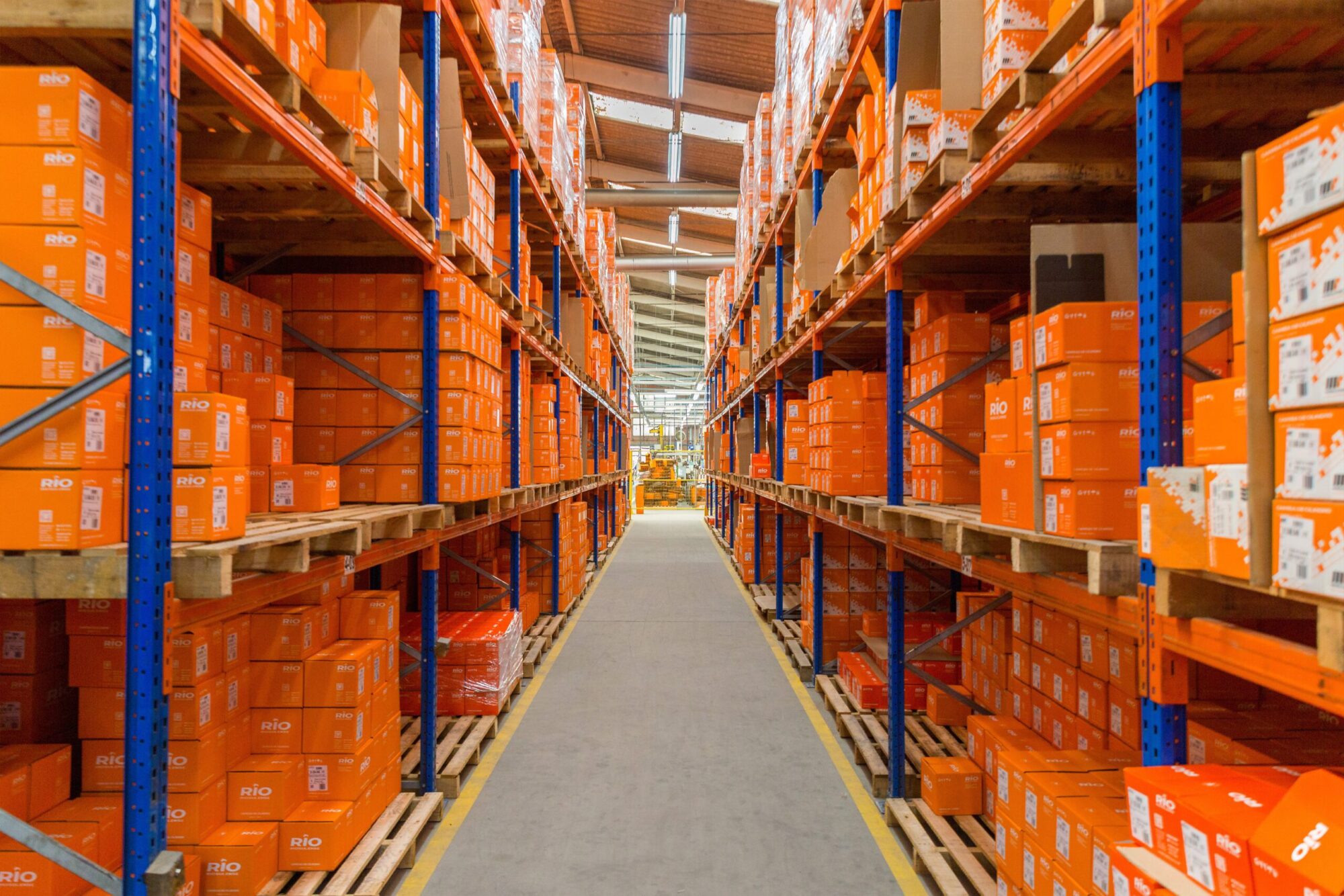 orange4-scaled.jpg