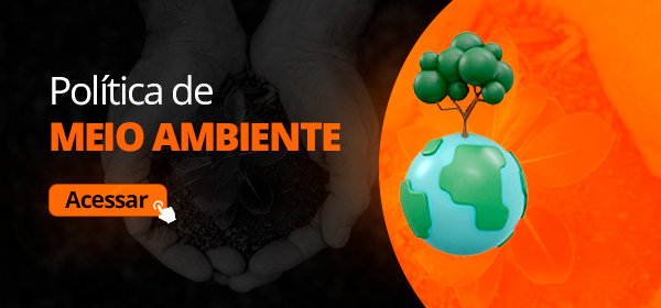 POLITICA DO MEIO AMBIENTE PRETO 2